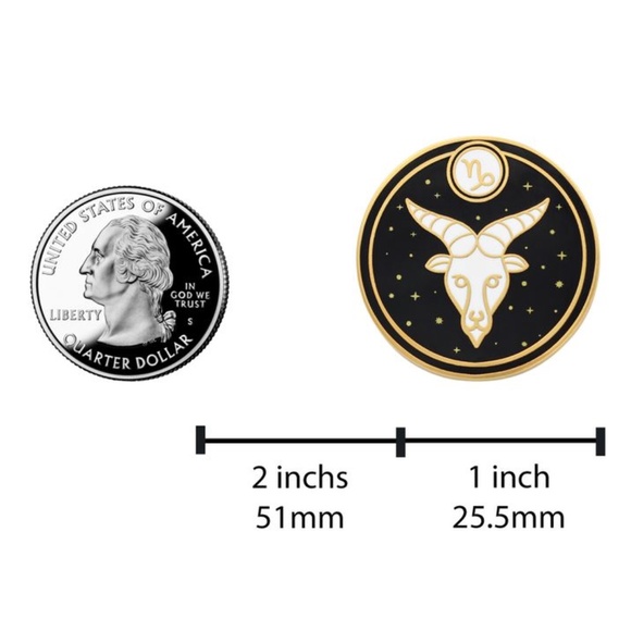 Capricorn Astrological Sign Pin - Picture 2 of 3